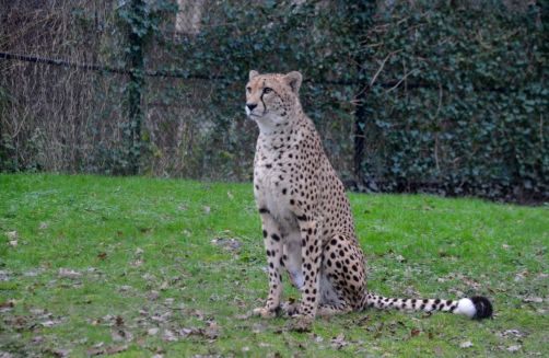 weekend-malines-belgique (146)