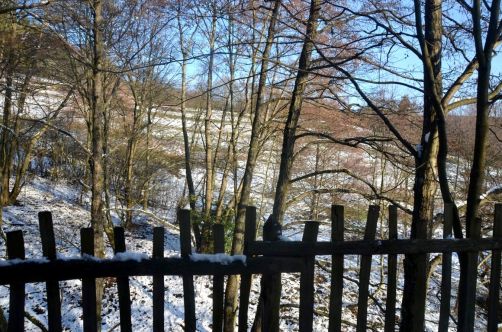 cabanes-essentielles-vosges-46