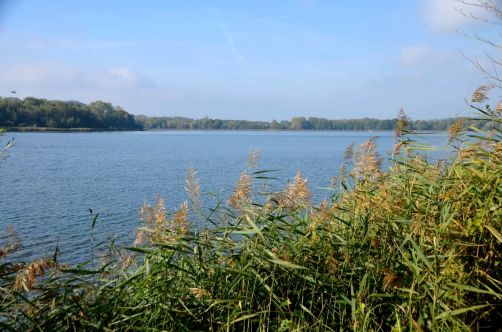 center-parcs-ailette-31