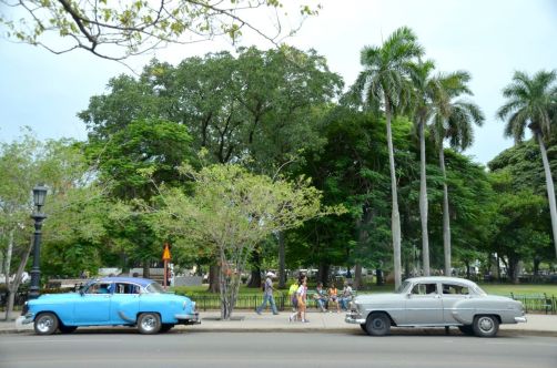 cuba-la-havane-98