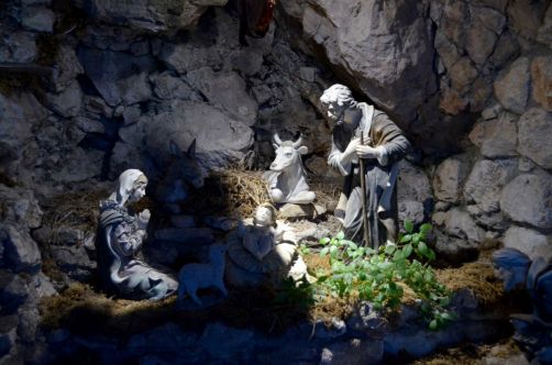 gargano-pouilles-109