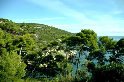 gargano-pouilles-126