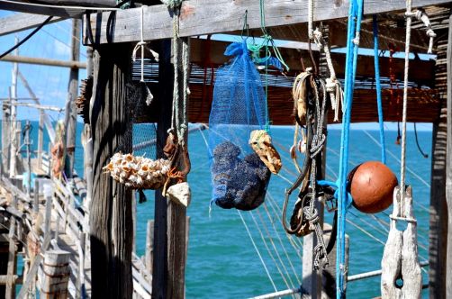 gargano-pouilles-229