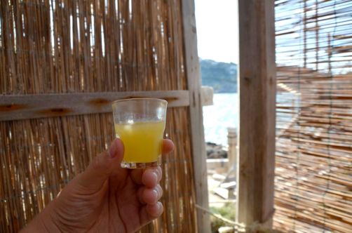 gargano-pouilles-258