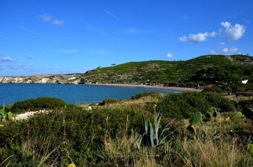 gargano-pouilles-259