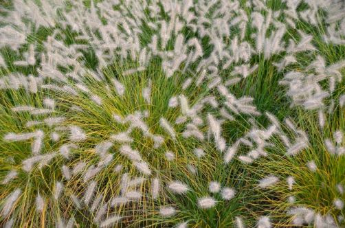 koru-hotel-restaurant-spa-102