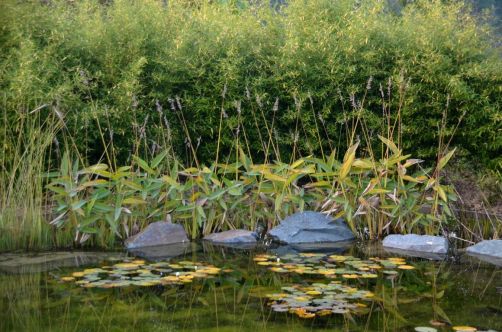 koru-hotel-restaurant-spa-110