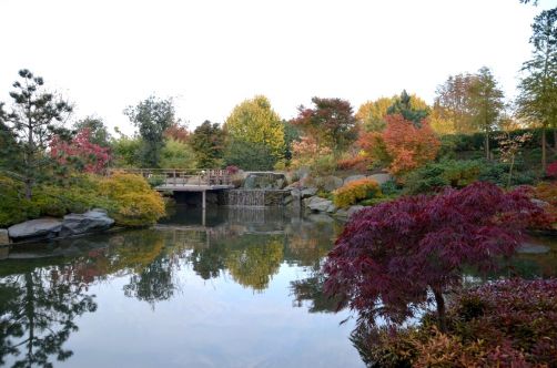 koru-hotel-restaurant-spa-79