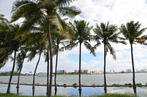 miami-244