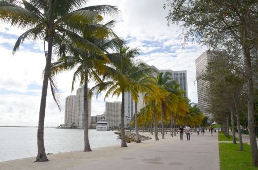 miami-269