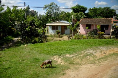 vinales-cuba-159