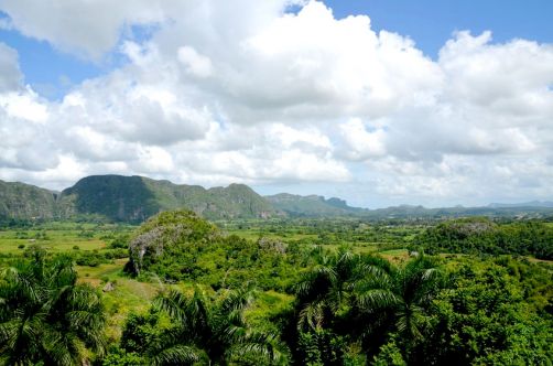 vinales-cuba-210