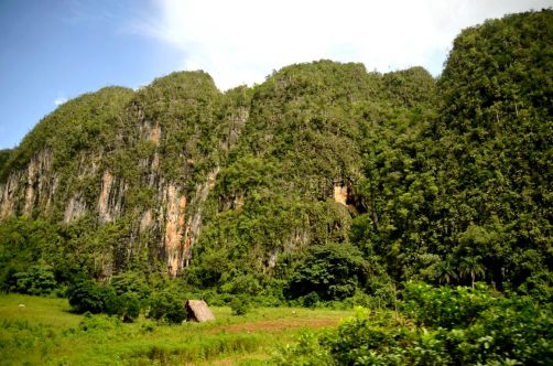 vinales-cuba-304