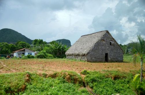 vinales-cuba-324