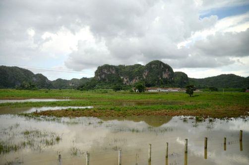 vinales-cuba-344