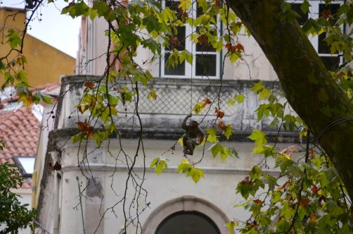 caldas-da-rainhas-portugal-175