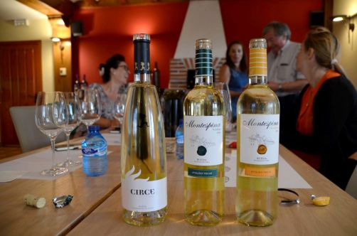 route-vins-rueda-espagne-115