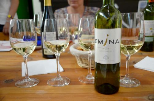 route-vins-rueda-espagne-164