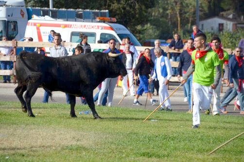 route-vins-rueda-espagne-241