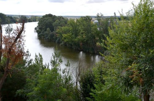 route-vins-rueda-espagne-255