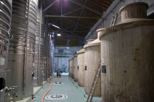 route-vins-rueda-espagne-262