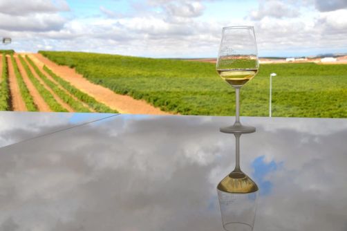 route-vins-rueda-espagne-272