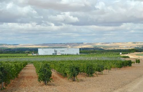 route-vins-rueda-espagne-278