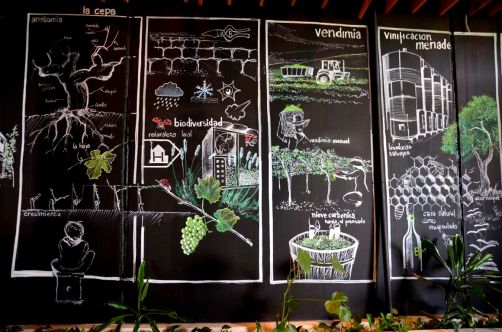 route-vins-rueda-espagne-315