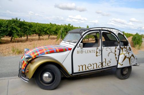 route-vins-rueda-espagne-323