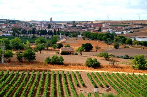 route-vins-rueda-espagne-370