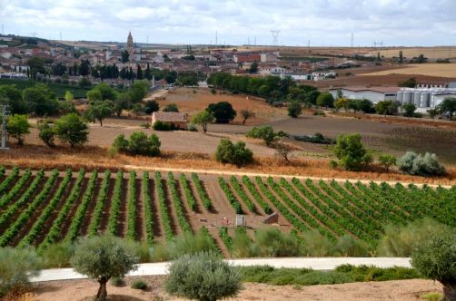 route-vins-rueda-espagne-371