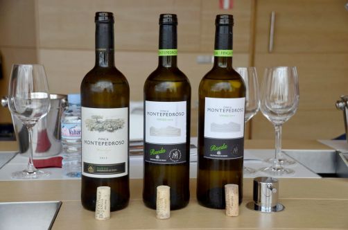 route-vins-rueda-espagne-378