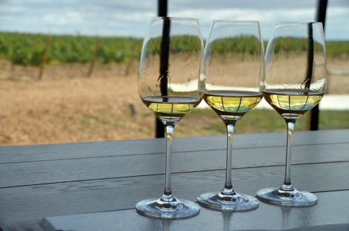 route-vins-rueda-espagne-379