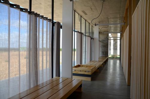 route-vins-rueda-espagne-380