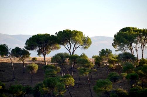 route-vins-rueda-espagne-64