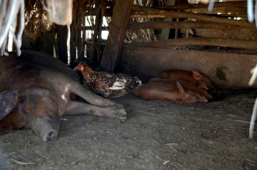 el-salton-sierra-maestra-cuba-149