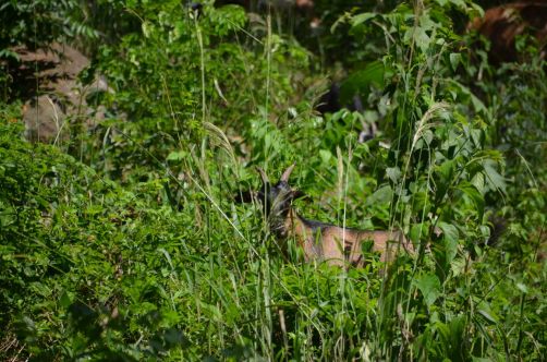 el-salton-sierra-maestra-cuba-167