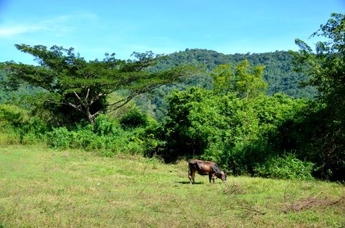 el-salton-sierra-maestra-cuba-228