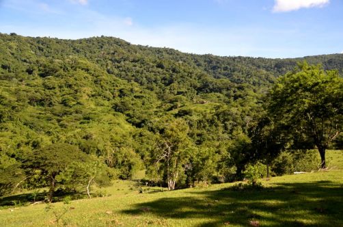 el-salton-sierra-maestra-cuba-236