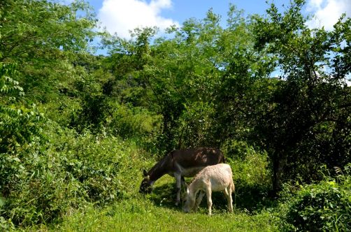 el-salton-sierra-maestra-cuba-99
