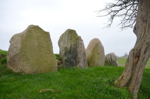 ile-mon-danemark-166