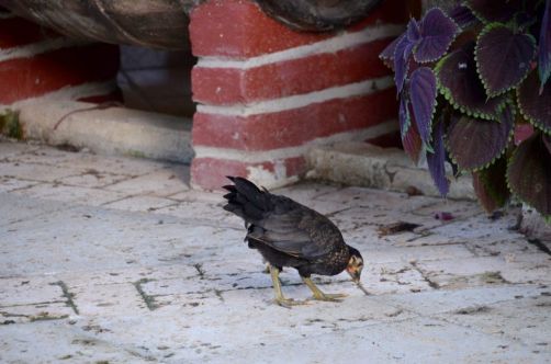 santa-clara-cuba-186