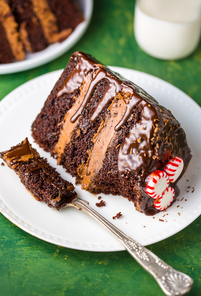 This stunning Peppermint Mocha Chocolate Cake is moist, rich, and absolutely delicious!