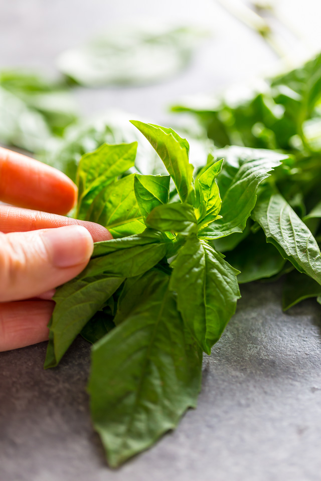 This 20-Minute Chicken Bruschetta Quinoa Salad is the perfect Summer meal!