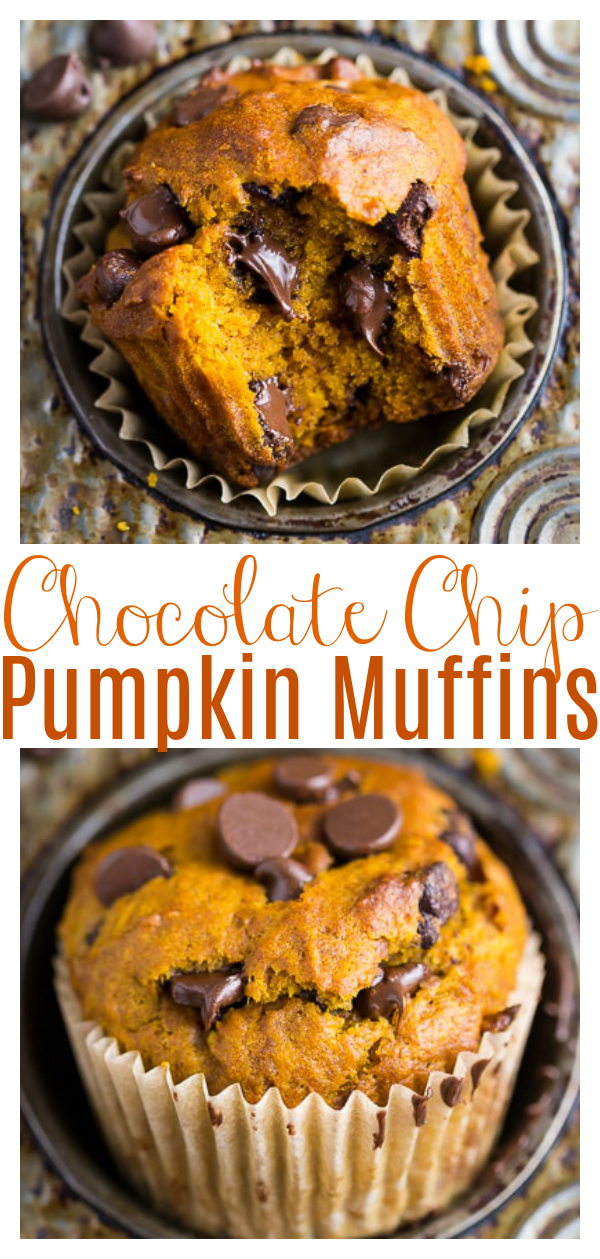 If you'e a pumpkin lover, you're in luck because this recipe makes Pumpkin Chocolate Chip Muffins AND bread! Moist, fluffy, and loaded with real pumpkin flavor! Perfect for breakfast or as an afternoon snack!