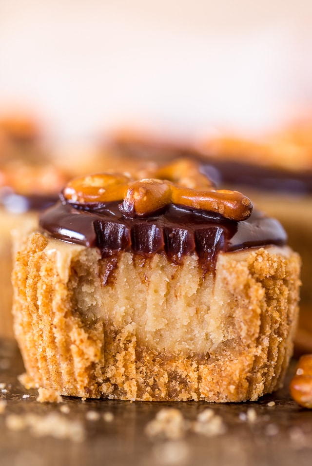 Chocolate Covered Peanut Butter Pretzel Cheesecake Cupcakes