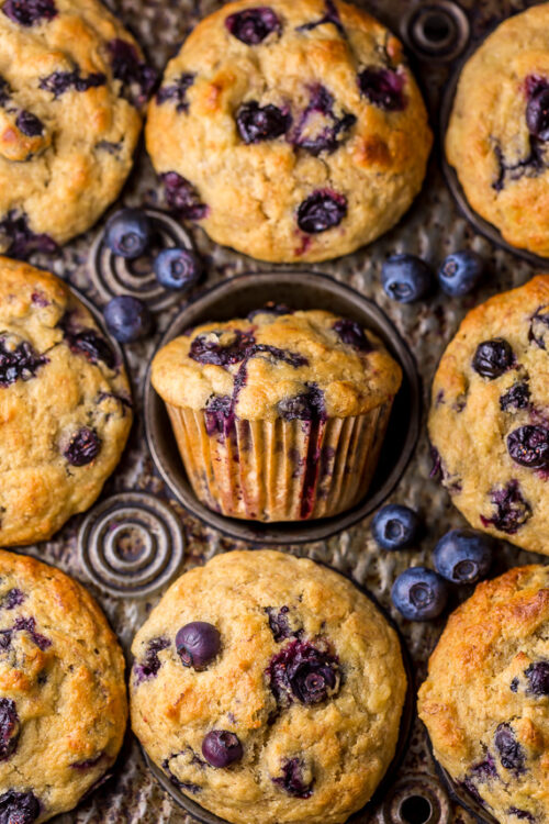 Healthy Greek Yogurt and Honey Blueberry Muffins are moist, fluffy, and subtly sweet! We love this healthy blueberry muffin recipe for breakfast or as a snack! The protein packed Greek yogurt makes these muffins moist and the honey makes them delightfully sweet. 