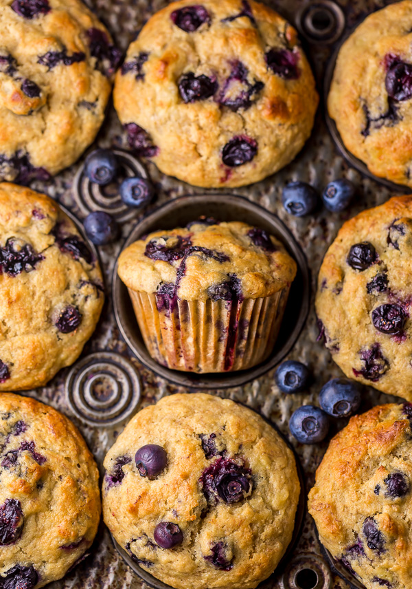 Healthy Greek Yogurt and Honey Blueberry Muffins are moist, fluffy, and subtly sweet! We love this healthy blueberry muffin recipe for breakfast or as a snack! The protein packed Greek yogurt makes these muffins moist and the honey makes them delightfully sweet.