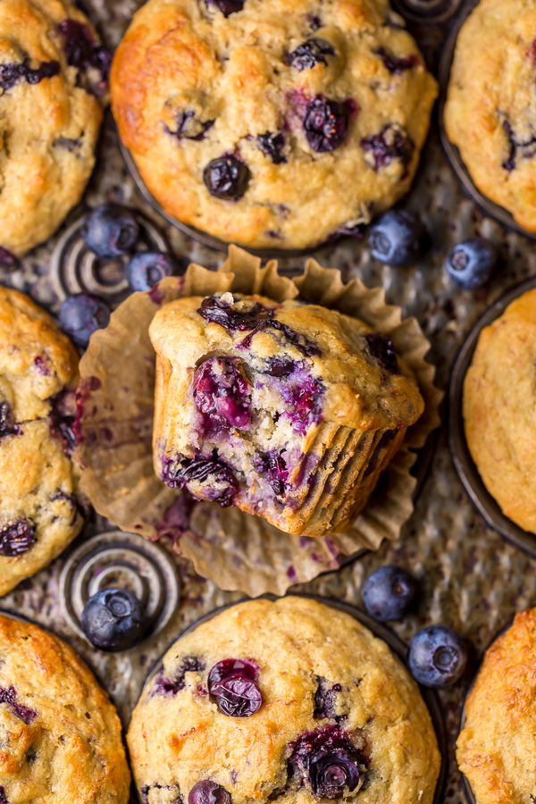 Healthy Greek Yogurt and Honey Blueberry Muffins are moist, fluffy, and subtly sweet! We love this healthy blueberry muffin recipe for breakfast or as a snack! The protein packed Greek yogurt makes these muffins moist and the honey makes them delightfully sweet.