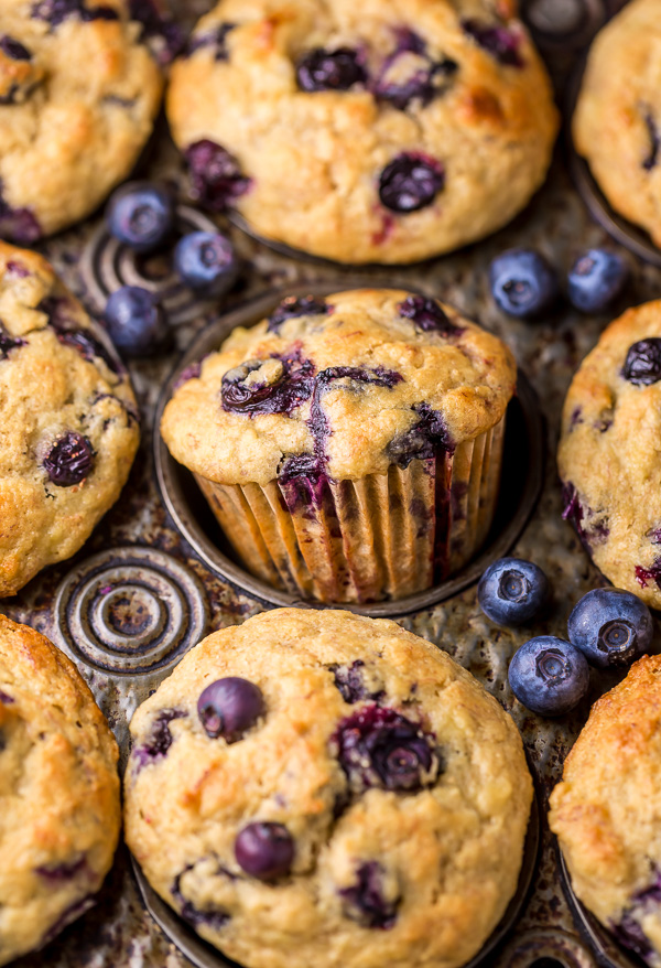 Healthy Greek Yogurt and Honey Blueberry Muffins are moist, fluffy, and subtly sweet! We love this healthy blueberry muffin recipe for breakfast or as a snack! The protein packed Greek yogurt makes these muffins moist and the honey makes them delightfully sweet.